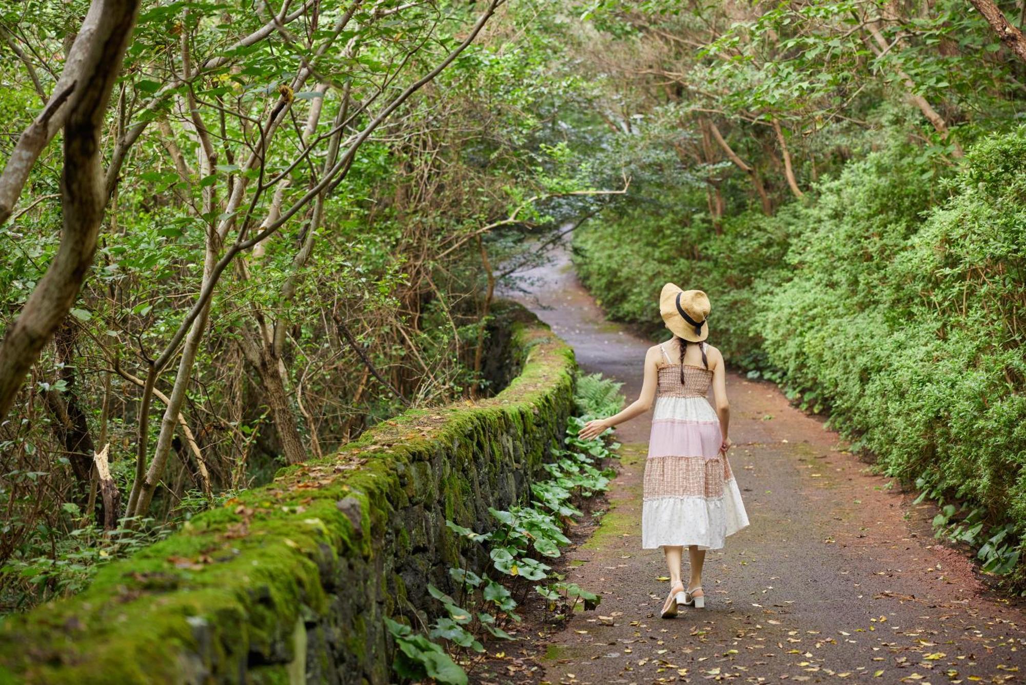 We Hotel Jeju Seogwipo Zewnętrze zdjęcie